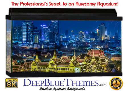 Buy Aquarium Background Scene Bangkok Aquarium Background