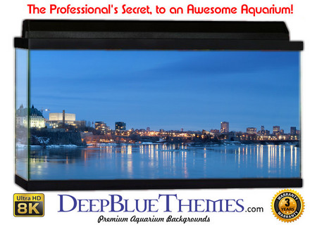 Buy Aquarium Background Scene Blue Aquarium Background