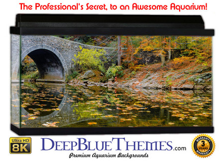 Buy Aquarium Background Scene Bridge Aquarium Background