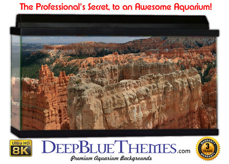 Buy Aquarium Background Scene Canyon Aquarium Background