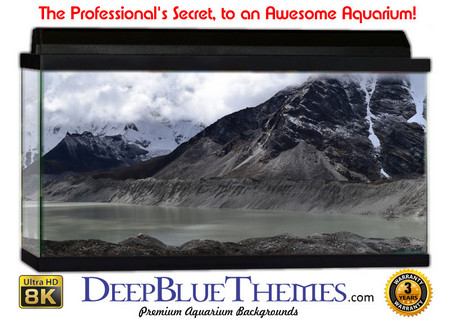 Buy Aquarium Background Scene Coldlake Aquarium Background