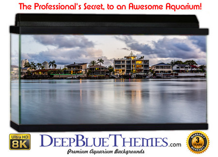 Buy Aquarium Background Scene Distance Aquarium Background