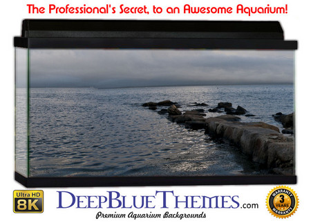 Buy Aquarium Background Scene Edge Aquarium Background