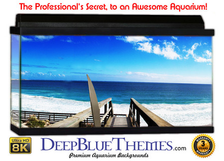 Buy Aquarium Background Scene Enter Aquarium Background