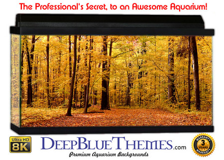 Buy Aquarium Background Scene Fall Aquarium Background