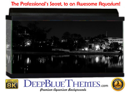 Buy Aquarium Background Scene Gray Aquarium Background