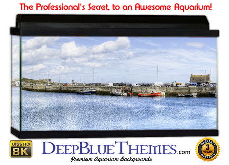 Buy Aquarium Background Scene Harbor Aquarium Background