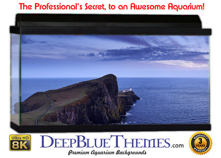 Buy Aquarium Background Scene Heaven Aquarium Background