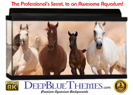 Buy Aquarium Background Scene Horses Aquarium Background