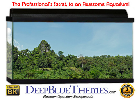 Buy Aquarium Background Scene Island Aquarium Background