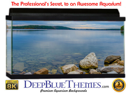 Buy Aquarium Background Scene Lake Aquarium Background