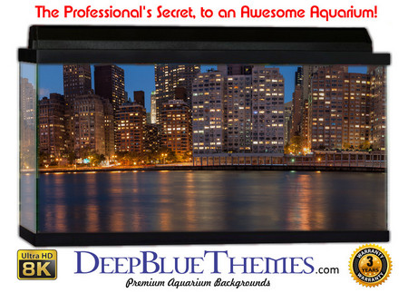 Buy Aquarium Background Scene Manhattan Aquarium Background