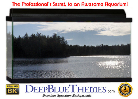 Buy Aquarium Background Scene Mason Aquarium Background