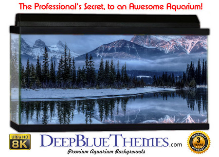 Buy Aquarium Background Scene Misty Aquarium Background