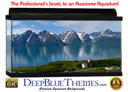 Buy Aquarium Background Scene Norway Aquarium Background