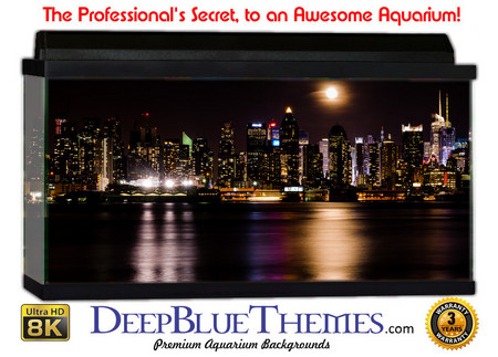 Buy Aquarium Background Scene Nyc Aquarium Background
