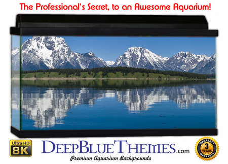 Buy Aquarium Background Scene Park Aquarium Background