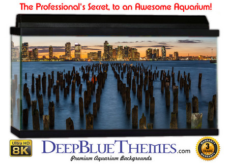 Buy Aquarium Background Scene Posts Aquarium Background