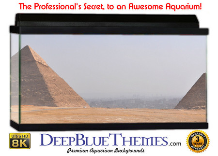 Buy Aquarium Background Scene Pyramid Aquarium Background