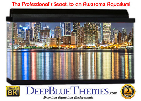 Buy Aquarium Background Scene Reflect Aquarium Background