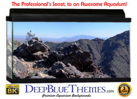 Buy Aquarium Background Scene Rocky Aquarium Background