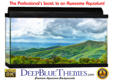 Buy Aquarium Background Scene Shendoah Aquarium Background