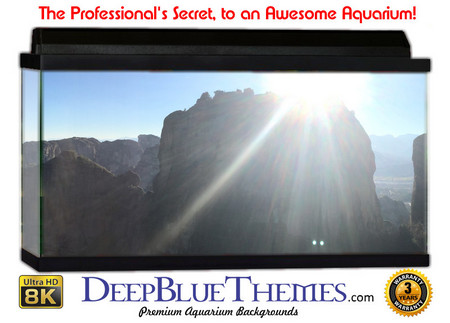 Buy Aquarium Background Scene Shine Aquarium Background