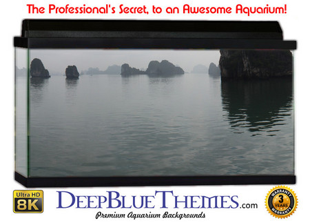 Buy Aquarium Background Scene Ship Aquarium Background