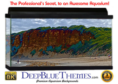 Buy Aquarium Background Scene Shore Aquarium Background