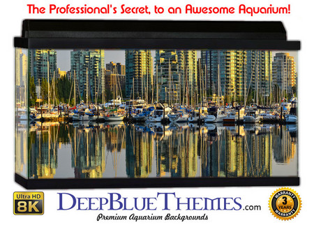 Buy Aquarium Background Scene Skyline Aquarium Background