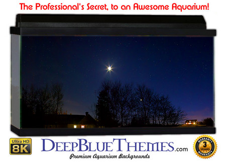 Buy Aquarium Background Scene Sleep Aquarium Background