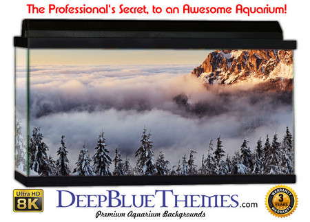 Buy Aquarium Background Scene Snow Aquarium Background