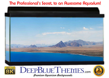 Buy Aquarium Background Scene Spring Aquarium Background