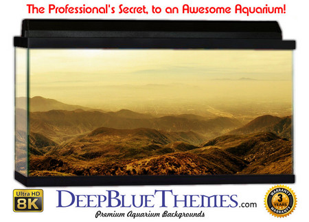 Buy Aquarium Background Scene Sunset Aquarium Background