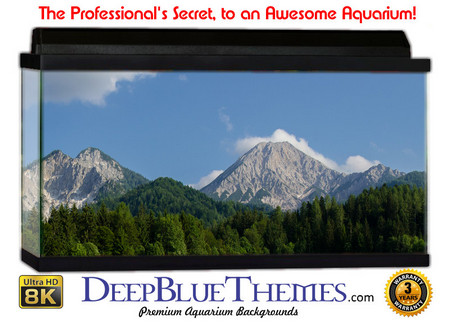 Buy Aquarium Background Scene Top Aquarium Background