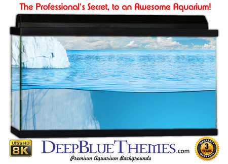 Buy Aquarium Background Scene Winter Aquarium Background