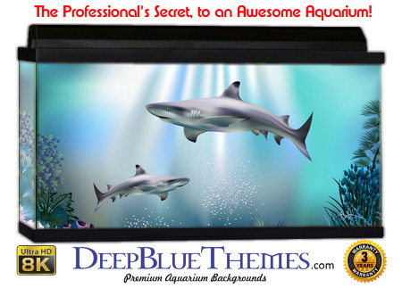Buy Aquarium Background Shark World Aquarium Background