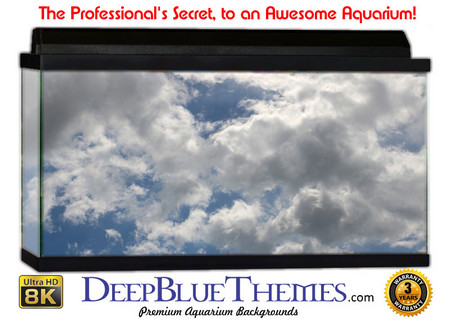 Buy Aquarium Background Sky Angel Aquarium Background