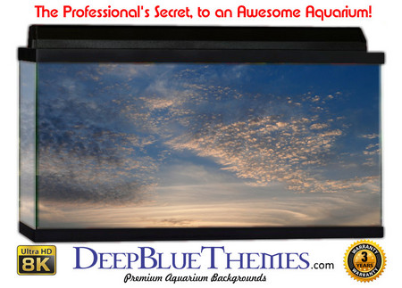Buy Aquarium Background Sky August Aquarium Background