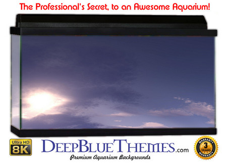 Buy Aquarium Background Sky Hand Aquarium Background