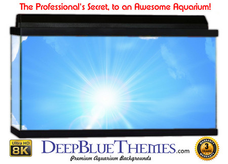 Buy Aquarium Background Sky Hole Aquarium Background