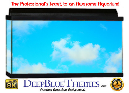 Buy Aquarium Background Sky Light Aquarium Background