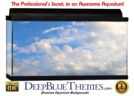 Buy Aquarium Background Sky Nice Aquarium Background