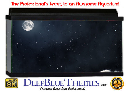 Buy Aquarium Background Sky Night Aquarium Background