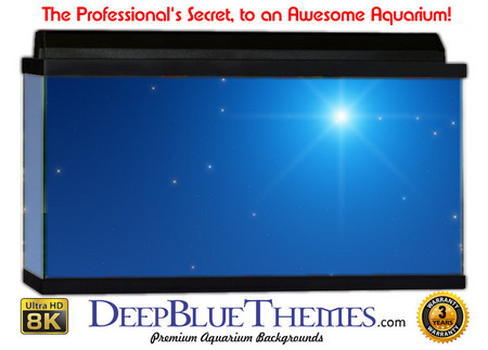 Buy Aquarium Background Sky North Aquarium Background