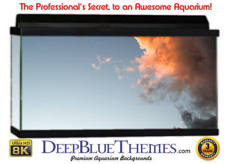 Buy Aquarium Background Sky Reach Aquarium Background