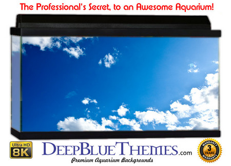 Buy Aquarium Background Sky Sides Aquarium Background