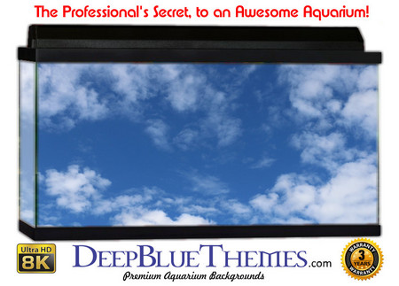 Buy Aquarium Background Sky Touch Aquarium Background