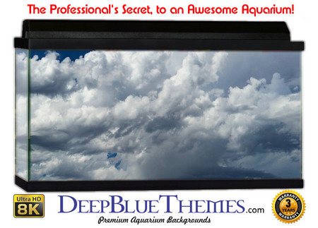 Buy Aquarium Background Sky Waves Aquarium Background