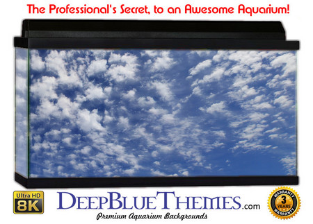 Buy Aquarium Background Sky Whisp Aquarium Background